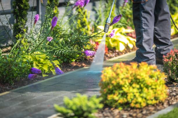 Best Winterizing Services  in Rutherford, NJ